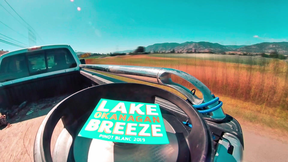 Lake Breeze